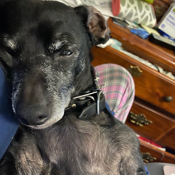 Meet your Posher, Tania - Picture 1 of 1